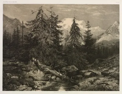 Alpine Stream