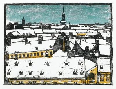 Alte Dacher Freihaus