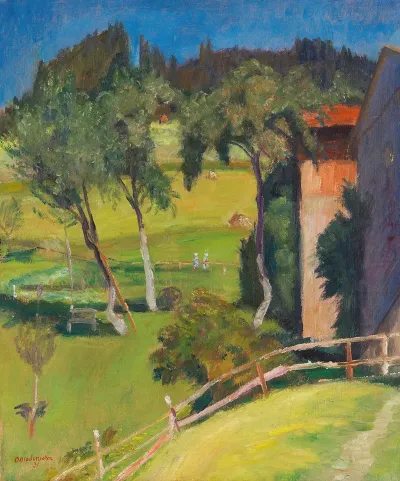 Alte Obstbaume Hinter Dem Haus