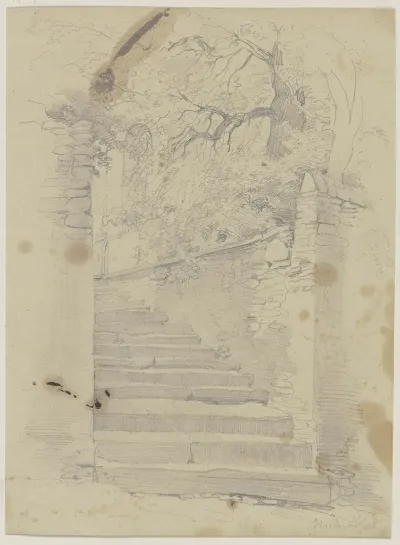 Alte Treppe Umgeben Von Baumen