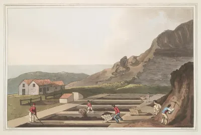 Alum Works Plate 32