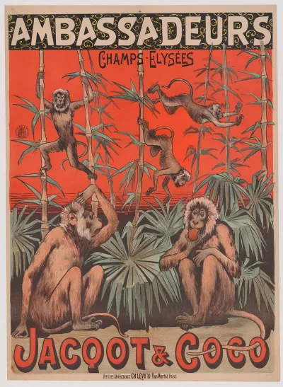 Ambassadeurs Jacquot Et Coco Duo De Singes