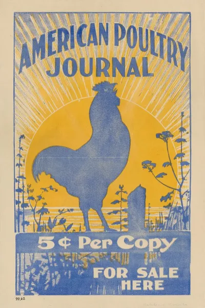 American Poultry Journal