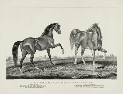 American Trotting Stud Ethan Allen Pocahontas