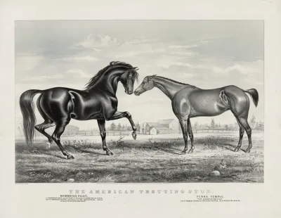 American Trotting Stud Mambino Pilot Flora Temple