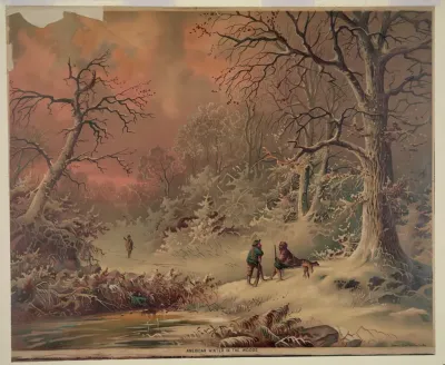 American Winter In The Woods