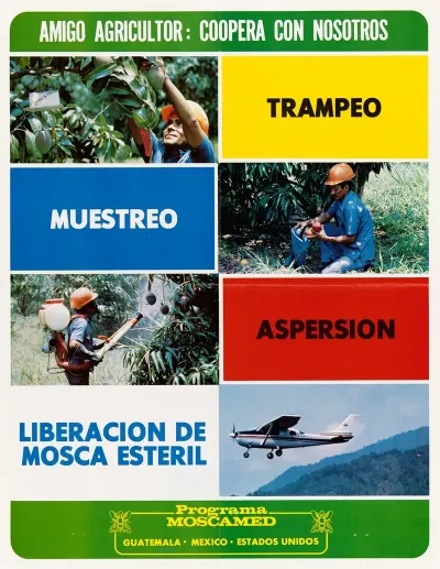Amigo Agricultor Coopera Con Nosotros Trampeo Muestreo Aspersion Liberacion De Mosca Esteril