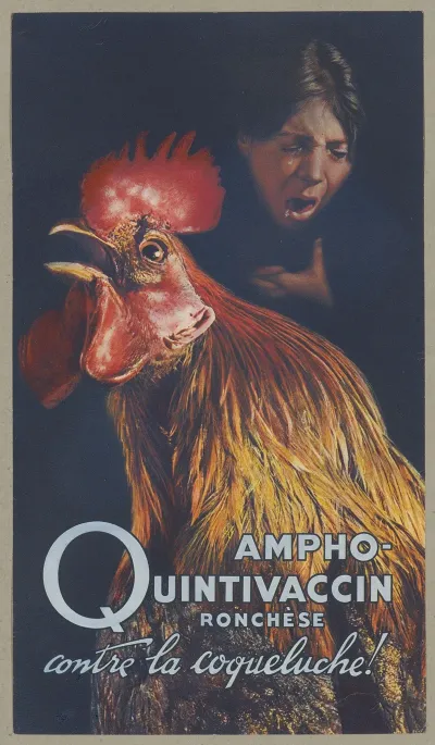 Ampho Quintivaccin Ronchese