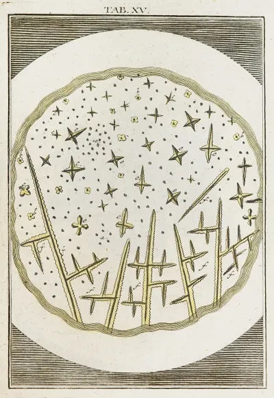 Amusement Microscopique Tant Pour Lesprit Que Pour Les Yeux Pl 016