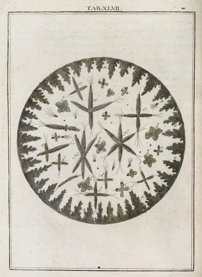 Amusement Microscopique Tant Pour Lesprit Que Pour Les Yeux Pl 047