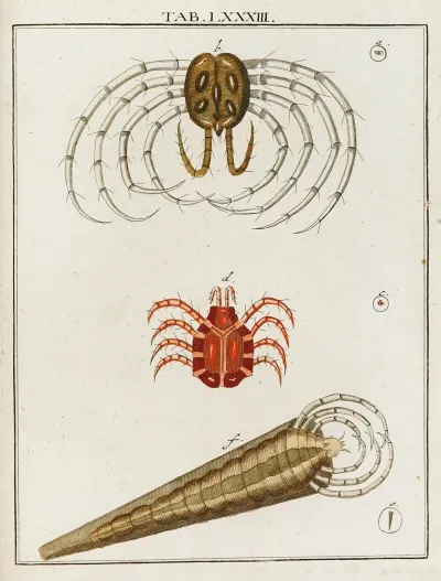 Amusement Microscopique Tant Pour Lesprit Que Pour Les Yeux Pl 083