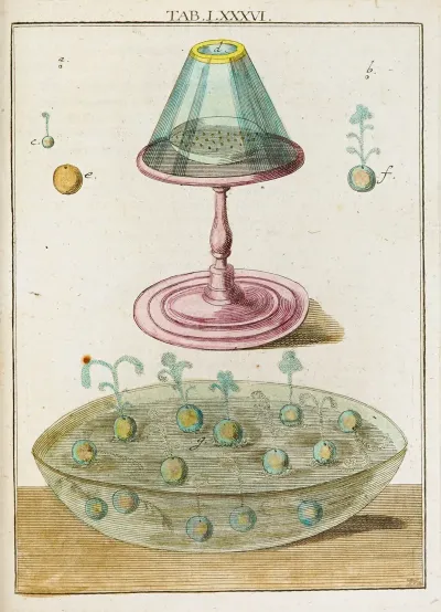 Amusement Microscopique Tant Pour Lesprit Que Pour Les Yeux Pl 086