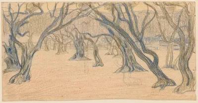 An Alley Of Leafless Trees