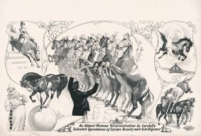 An Almost Human Demonstration By Carefully Selected Specimen Of Equine Beauty And Intelligence 2