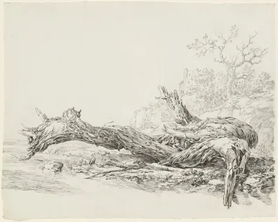 An Ancient Tree Fallen Beside A Stream
