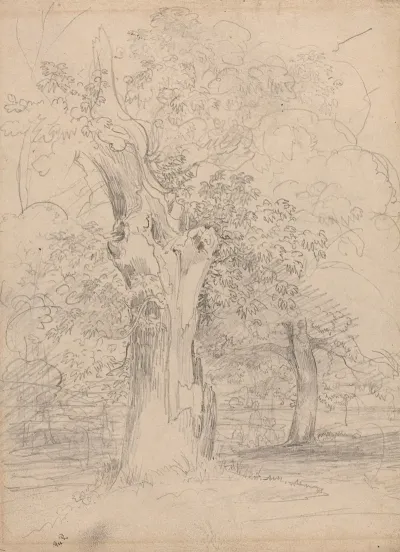 An Ancient Tree With Figures In A Landscape