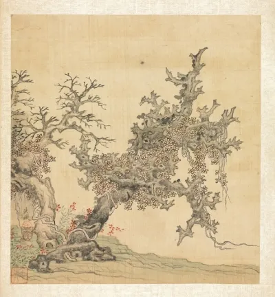 An Ancient Tree
