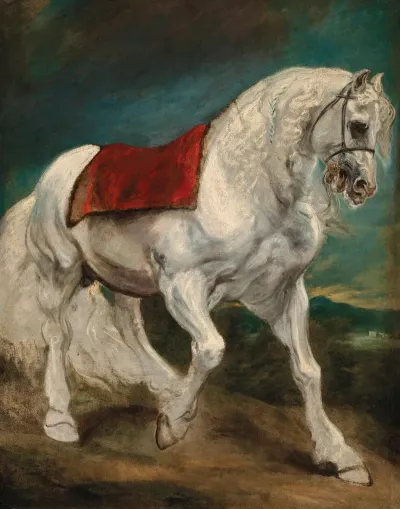 An Andalusian Horse