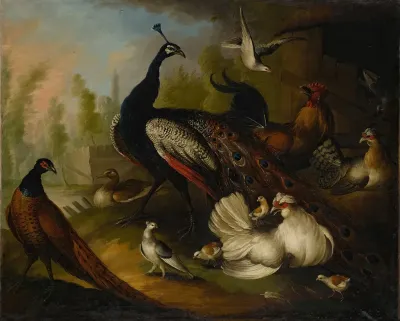 An Assembly Of Birds In A Parkland Setting Including A Peacock Hens And A Duck