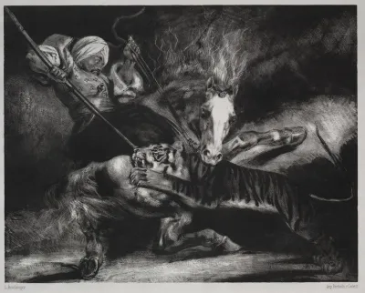 An Attack By A Tiger