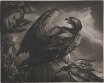 An Eagle With A Dead Pheasant Watched By A Fox