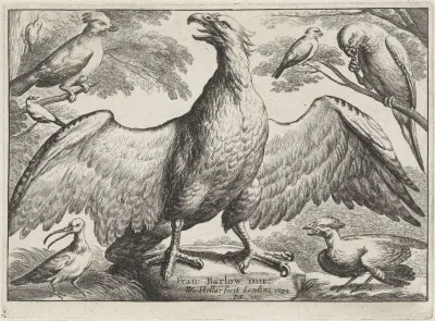 An Eagle With Outstretched Wings Standing On A Rock Surrounded By Six Other Birds