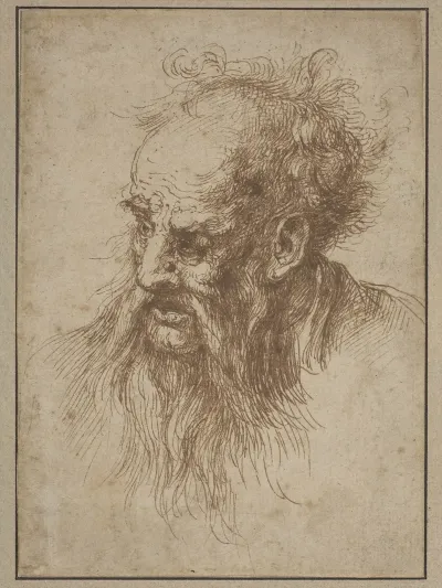 An Elderly Man With A Flowing Beard