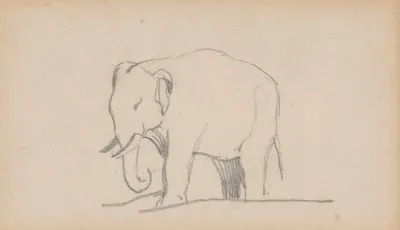 An Elephant Facing Left