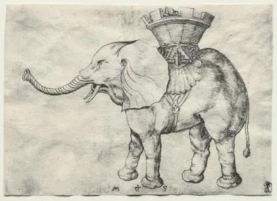 An Elephant With Howdah