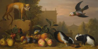 An Extensive Landscape With A Capuchin Squirrel Monkey Two Guinea Pigs A Blue Tit And An Amazon St Vincent Parrot
