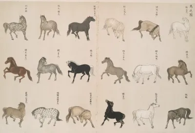 An Illustration Of Horses