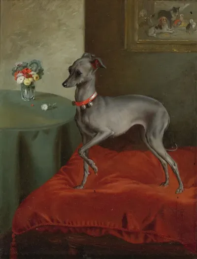 An Italian Greyhound On A Red Cushion