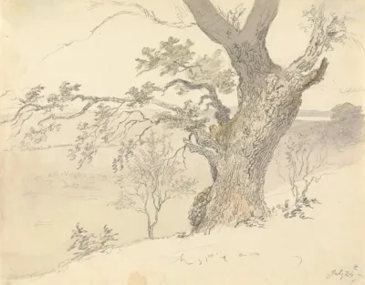 An Oak In Englefield Park