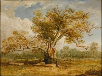 An Oak Tree In Richmond Park With A Herd Of Fallow Deer Beside It