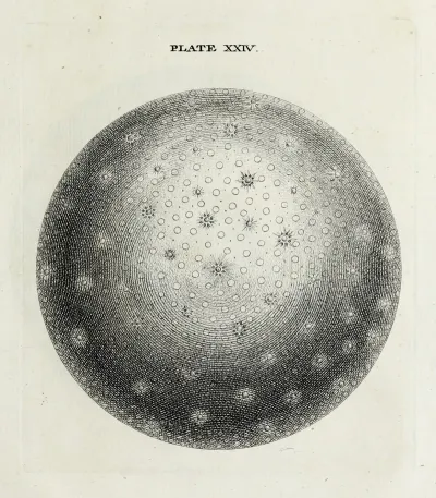 An Original Theory Or New Hypothesis Of The Universe Plate Xxiv