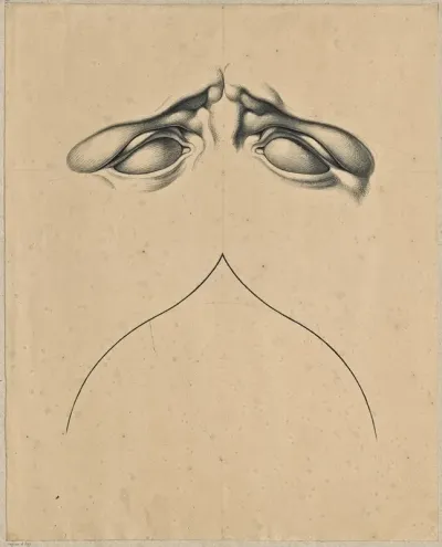 Analogy Between Frowning Eyes Of Laocoons Son And A Gothic Arch