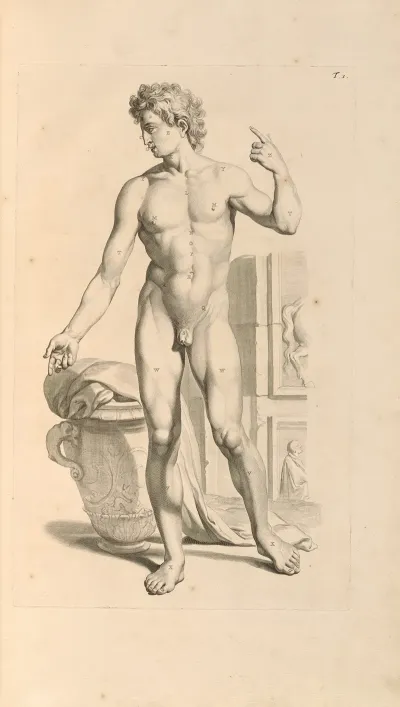 Anatomia Humani Corporis Pl 002