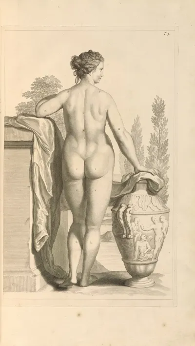 Anatomia Humani Corporis Pl 004