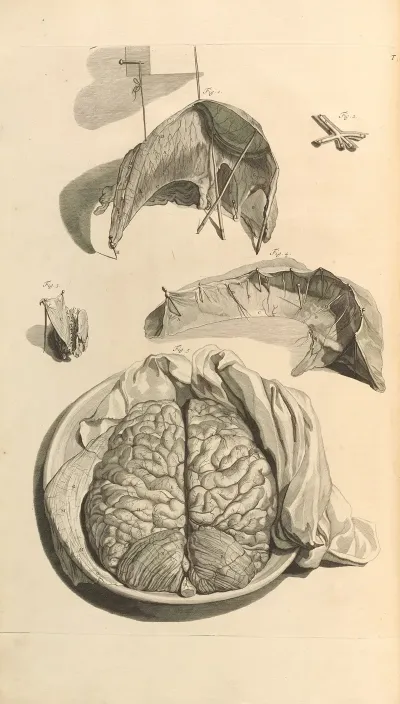 Anatomia Humani Corporis Pl 009