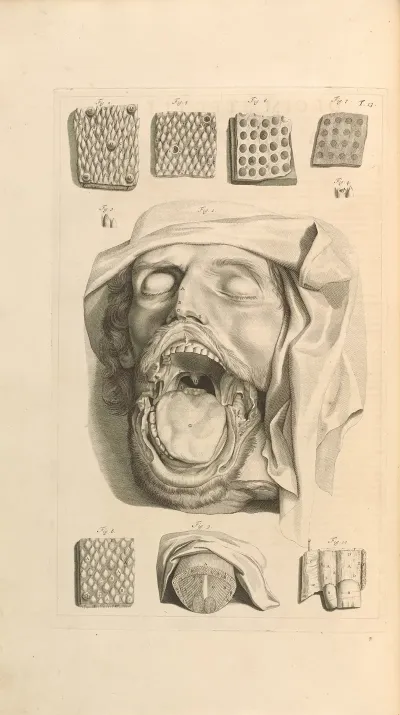 Anatomia Humani Corporis Pl 014