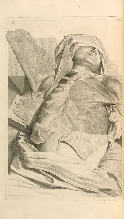 Anatomia Humani Corporis Pl 021