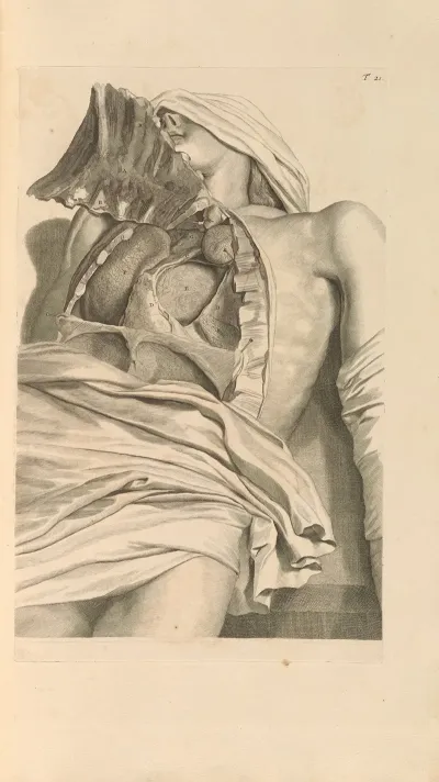 Anatomia Humani Corporis Pl 022