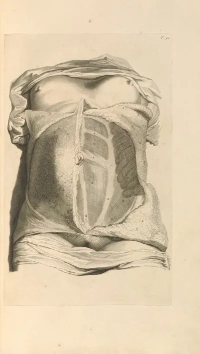 Anatomia Humani Corporis Pl 032