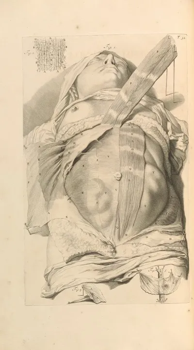 Anatomia Humani Corporis Pl 033