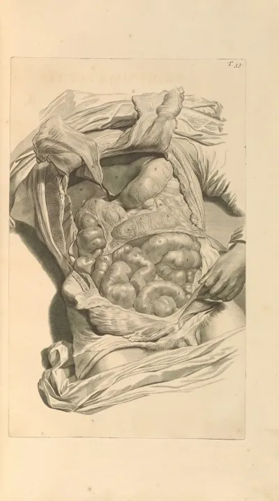 Anatomia Humani Corporis Pl 034