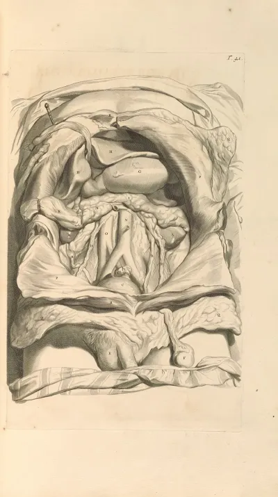 Anatomia Humani Corporis Pl 042