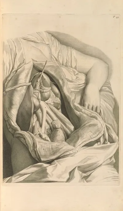 Anatomia Humani Corporis Pl 050