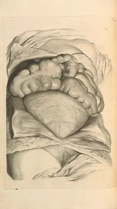 Anatomia Humani Corporis Pl 055