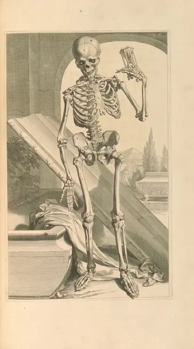 Anatomia Humani Corporis Pl 088