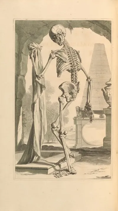Anatomia Humani Corporis Pl 089